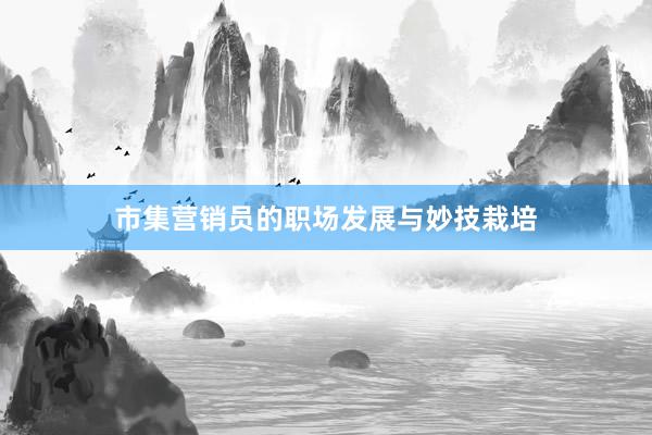 市集营销员的职场发展与妙技栽培